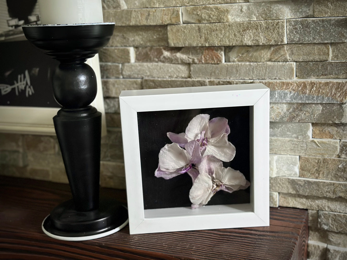 Orchid ShadowBox