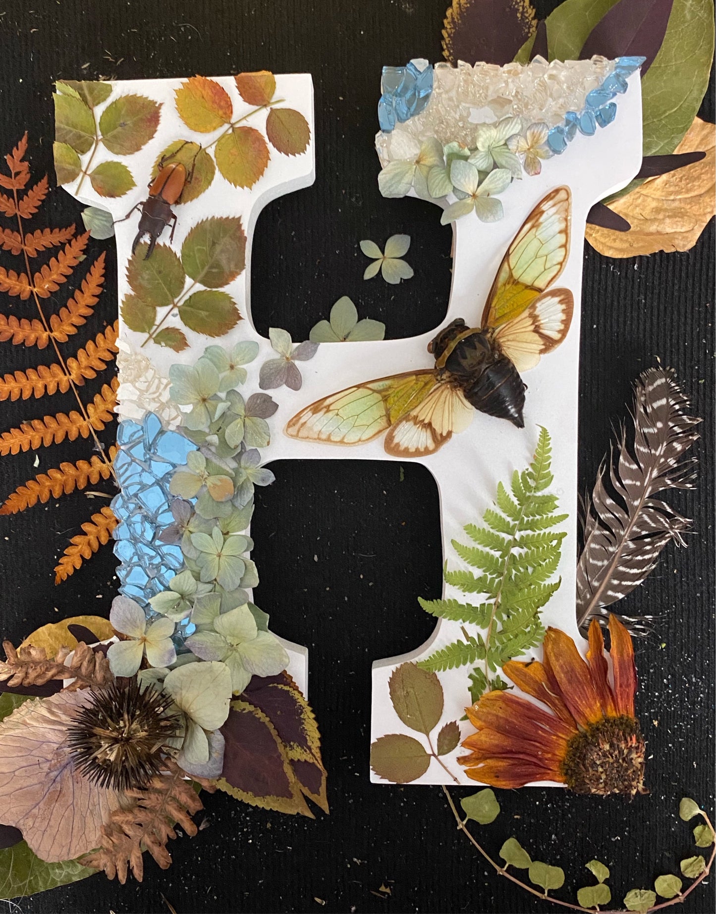 *CUSTOM* Letter LightBox with CICADA