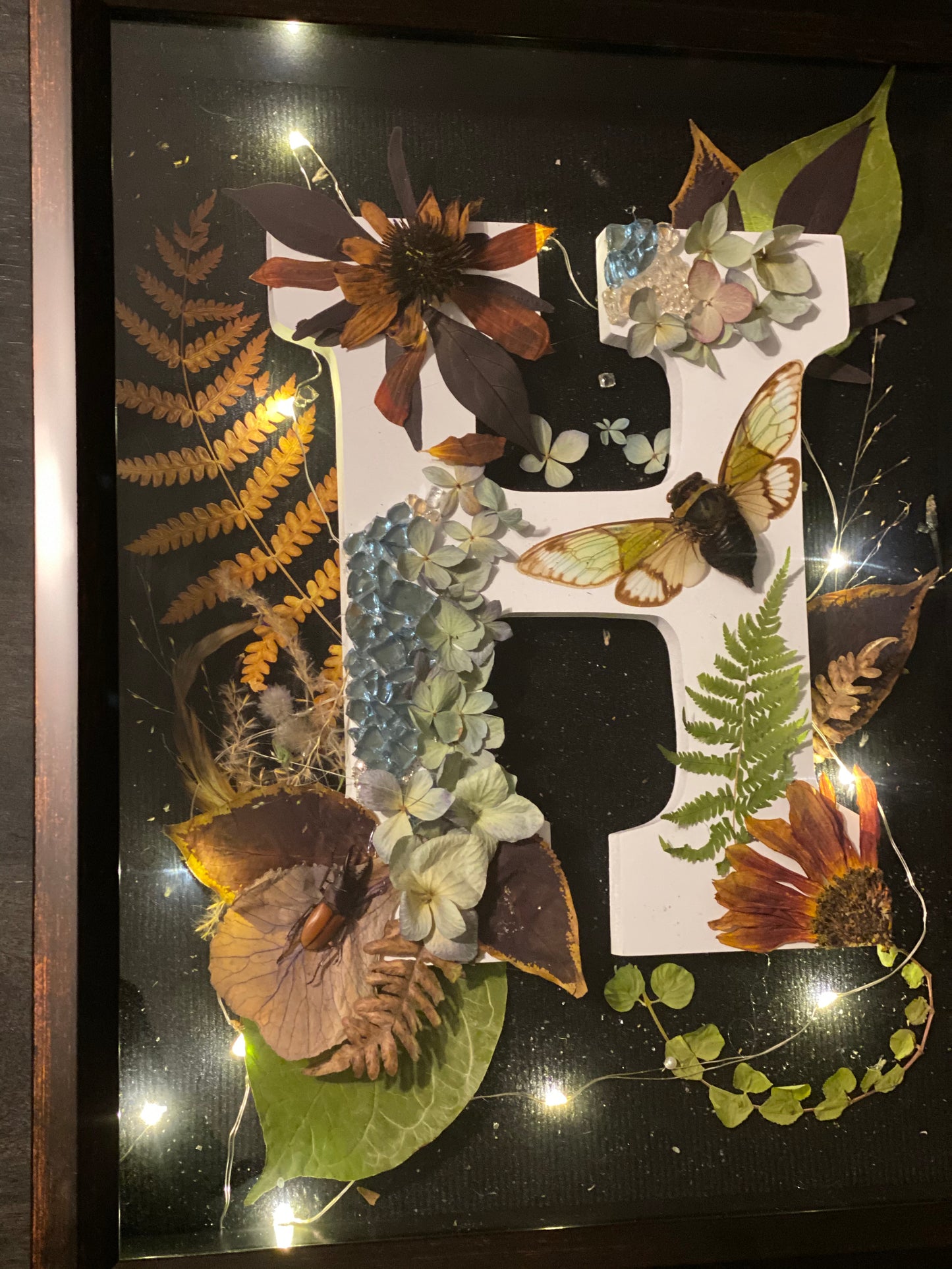 *CUSTOM* Letter LightBox with CICADA