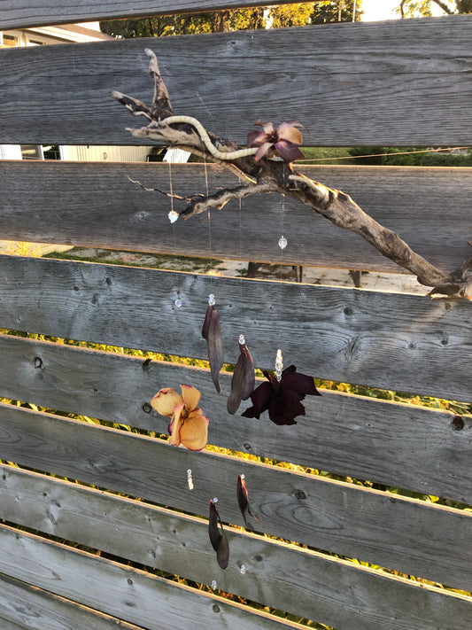 Driftwood Decor
