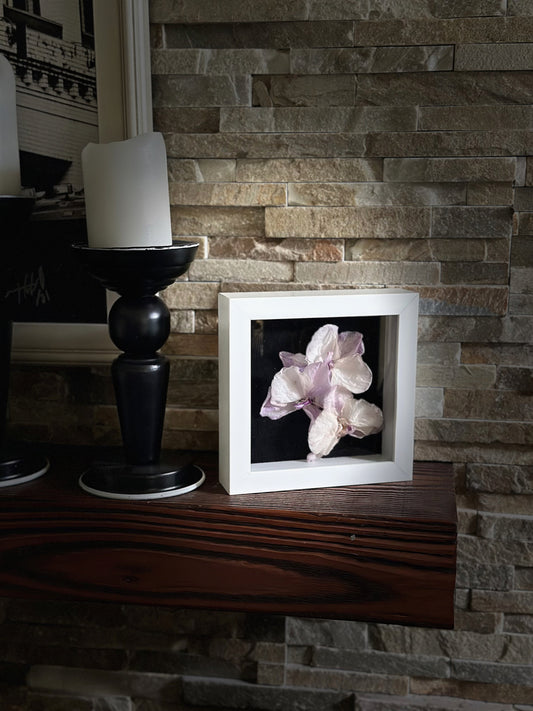 Orchid ShadowBox